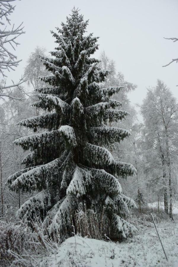 Mieps Huset Dalarna Holiday Kullen  ภายนอก รูปภาพ